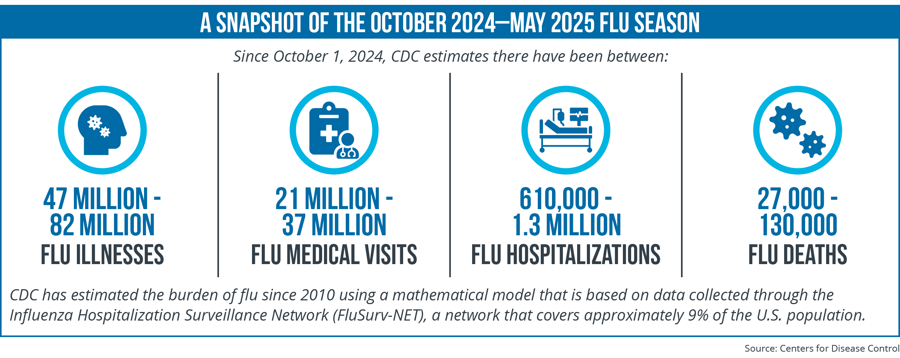 A Snapshot of the October 2024–May 2025 Flu Season