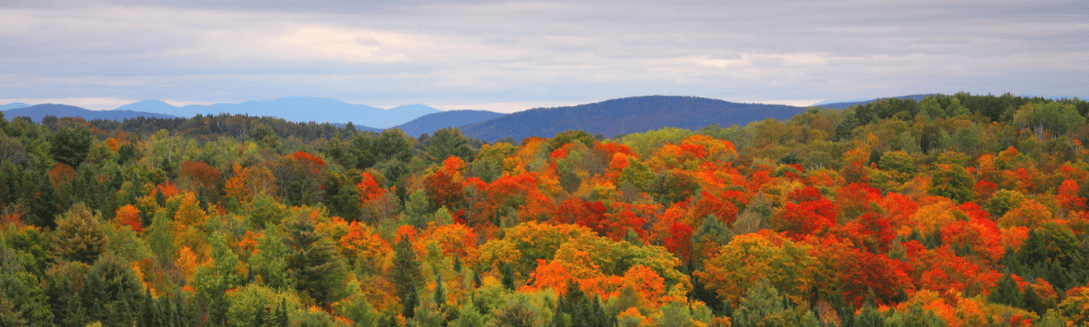 Emergency Medicine Staffing in Vermont 
