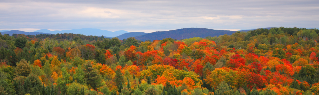 Stability Amid Change How the Medicus Transition Program Ensured Emergency Care at a Vermont Hospital